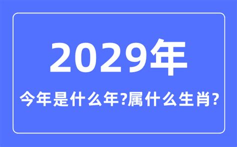 2024什么年